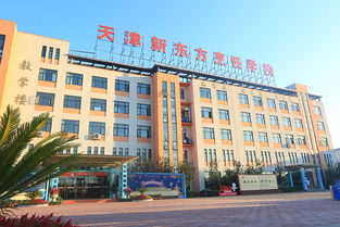 天津职业技能培训 天津职业培训 天津职业教育项目 教育项目 天津招生代理网