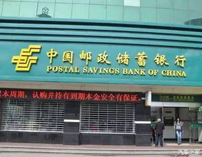 春节异地违章怎么办？天津代办服务帮你解决